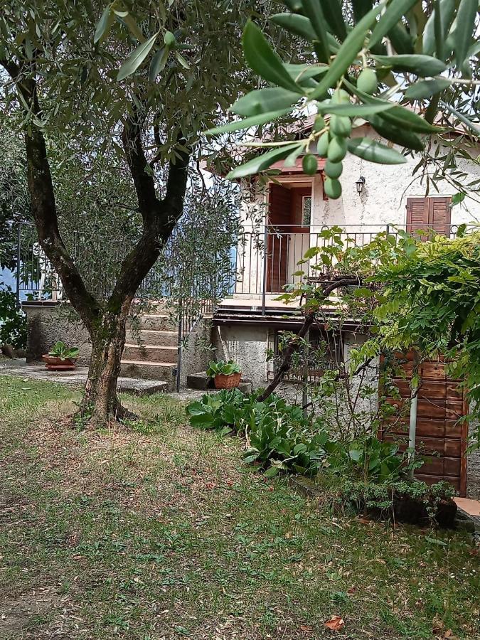 Olive Grove House Daire Malcesine Dış mekan fotoğraf