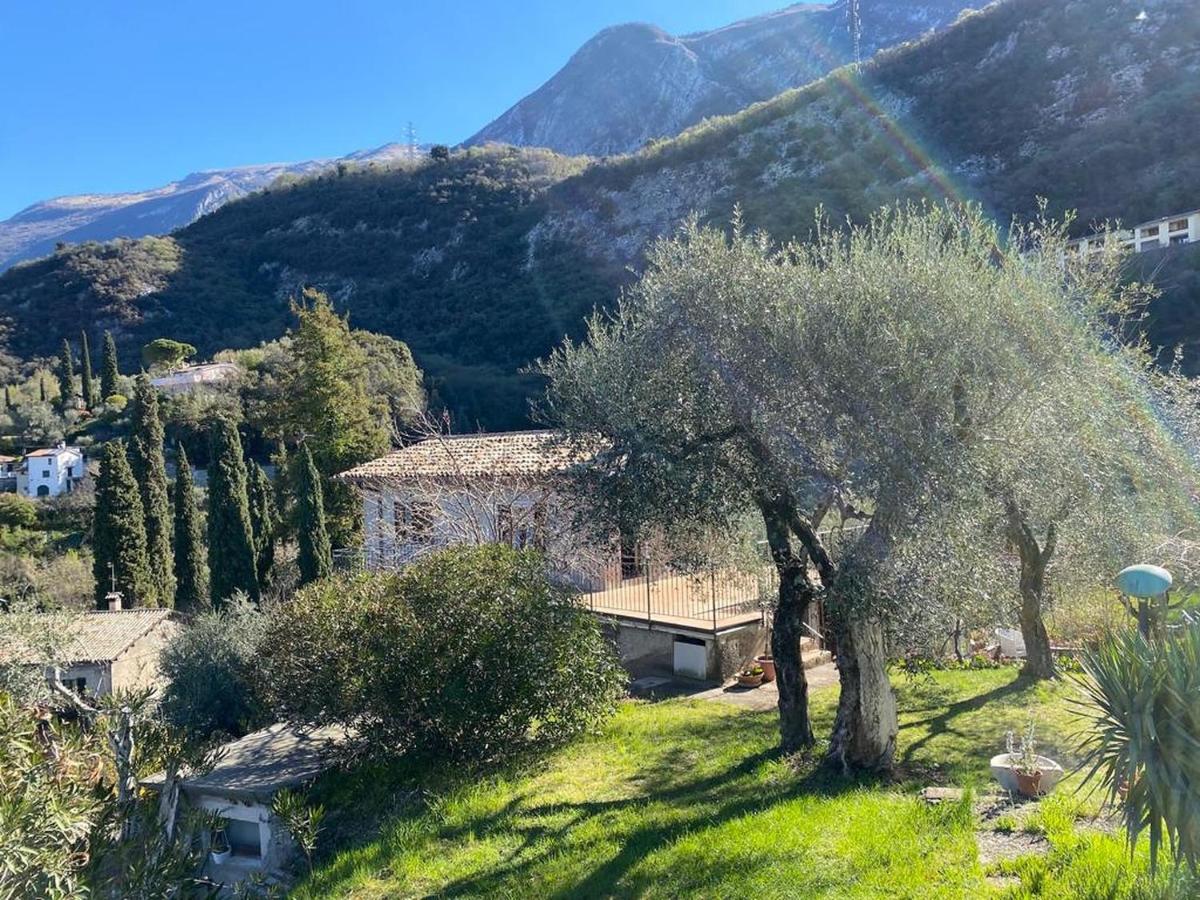 Olive Grove House Daire Malcesine Dış mekan fotoğraf