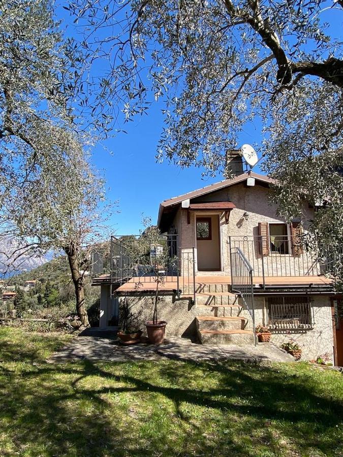 Olive Grove House Daire Malcesine Dış mekan fotoğraf