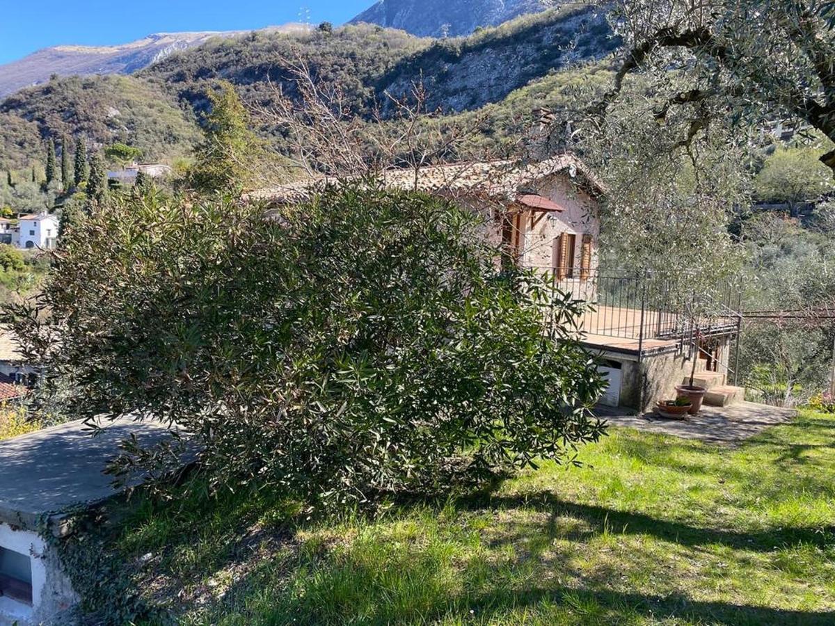 Olive Grove House Daire Malcesine Dış mekan fotoğraf