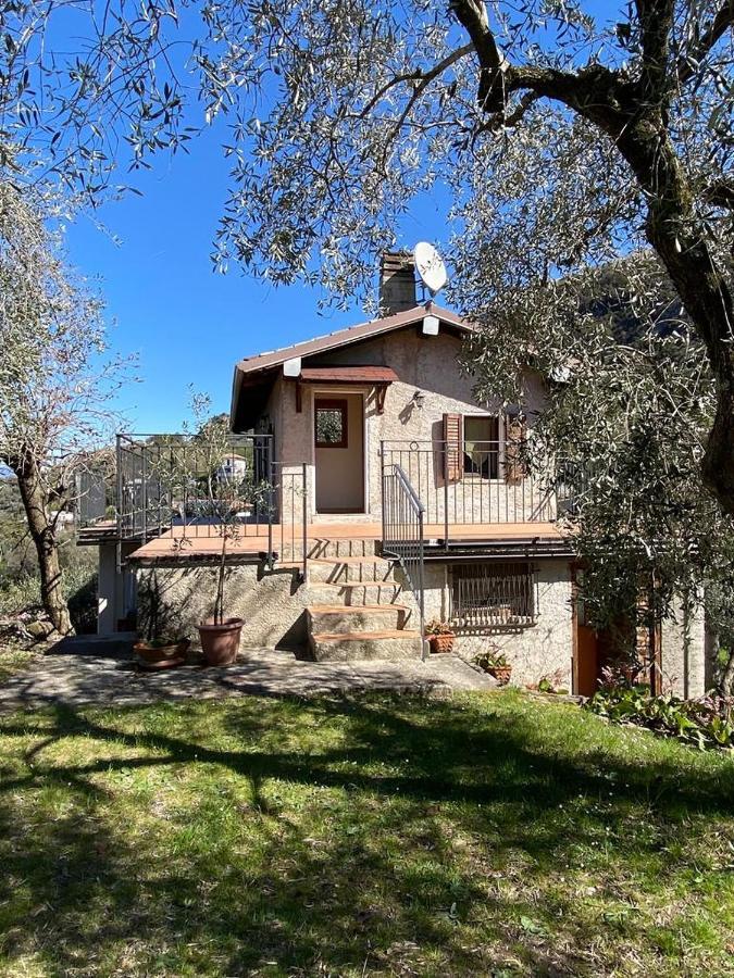 Olive Grove House Daire Malcesine Dış mekan fotoğraf