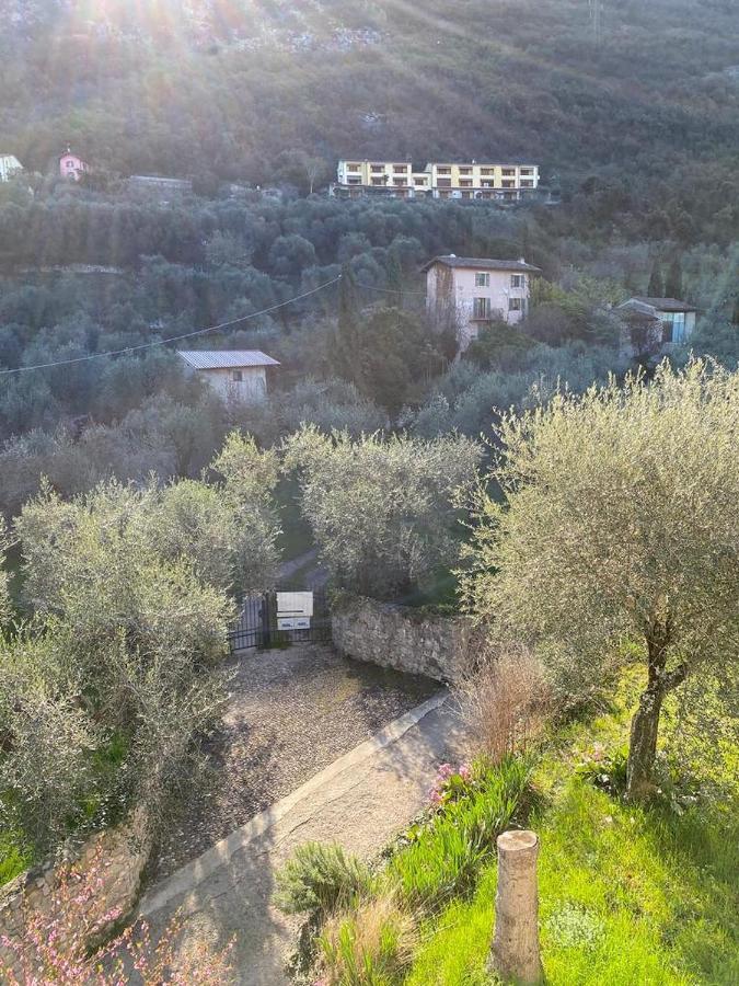 Olive Grove House Daire Malcesine Dış mekan fotoğraf