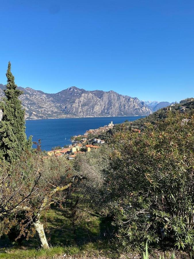 Olive Grove House Daire Malcesine Dış mekan fotoğraf
